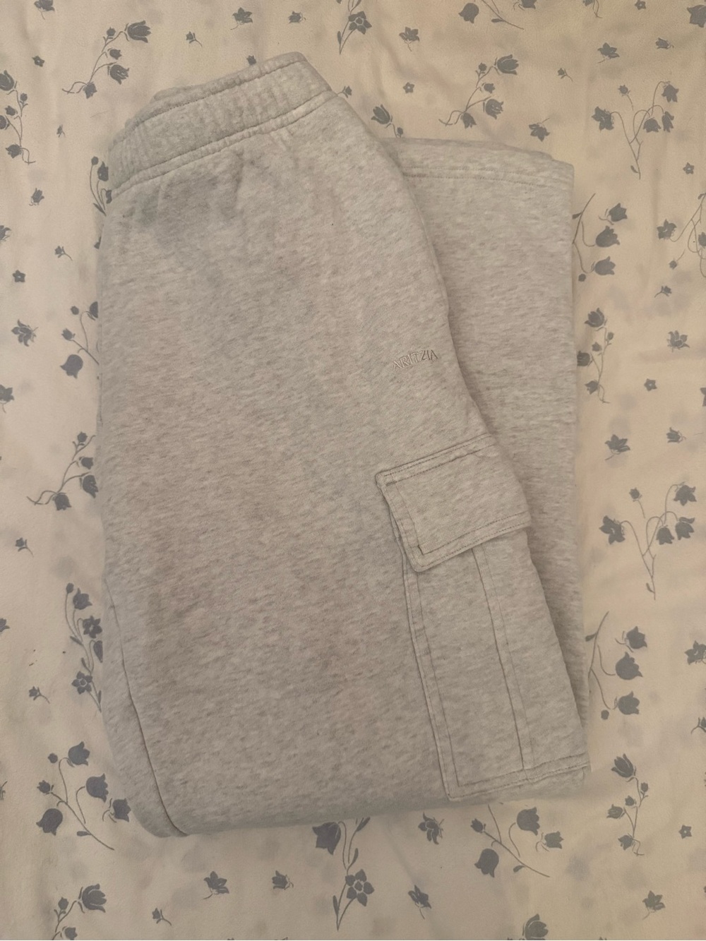 Aritzia Cargo sweat fleece pants